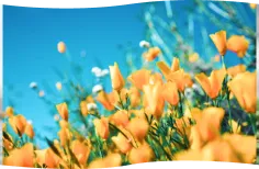 使い方イメージ3