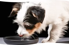 使い方イメージ4